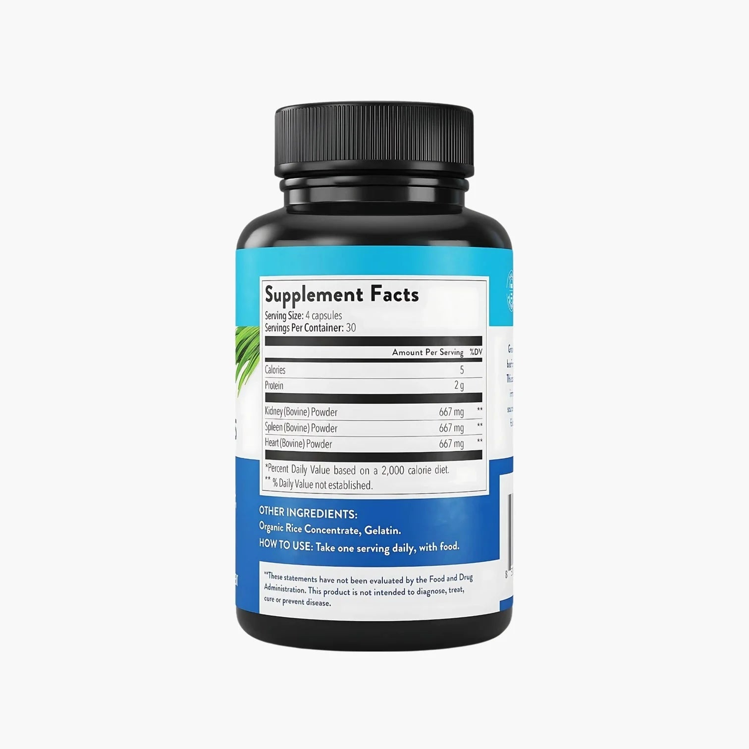 Grass - Fed Beef Organs - Equip - B. Health Shop